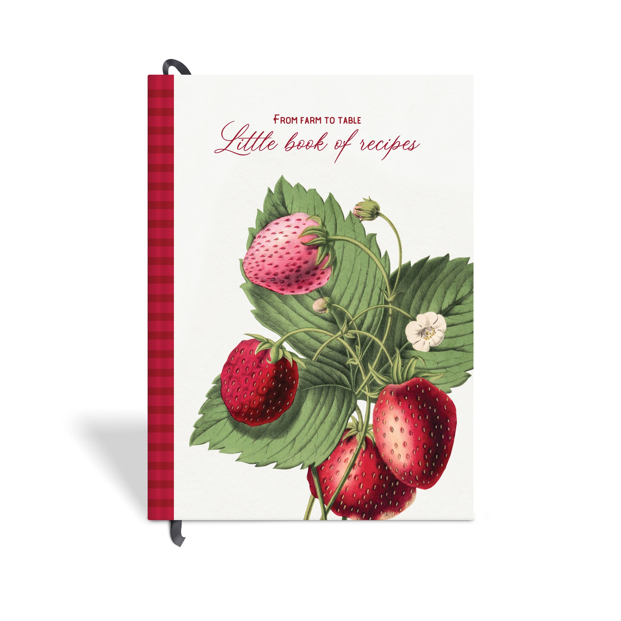 'Little Book of Recipes' Recipe Journal