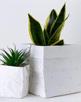 Paper Planter - Dots (White) - 7mm - Fine Paper Stationery