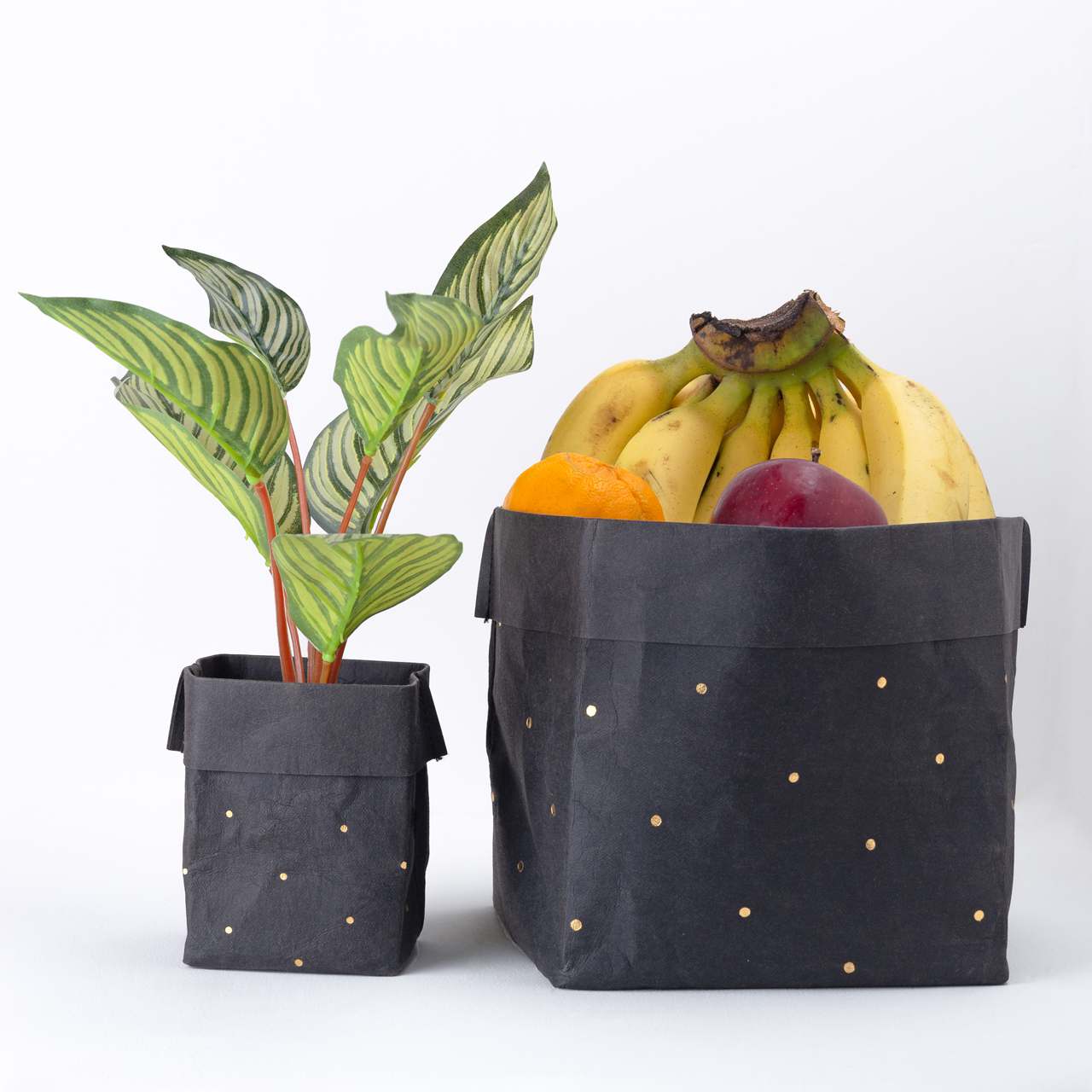 Paper Planter - Dots (Black) - 7mm - Fine Paper Stationery