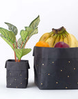 Paper Planter - Dots (Black) - 7mm - Fine Paper Stationery