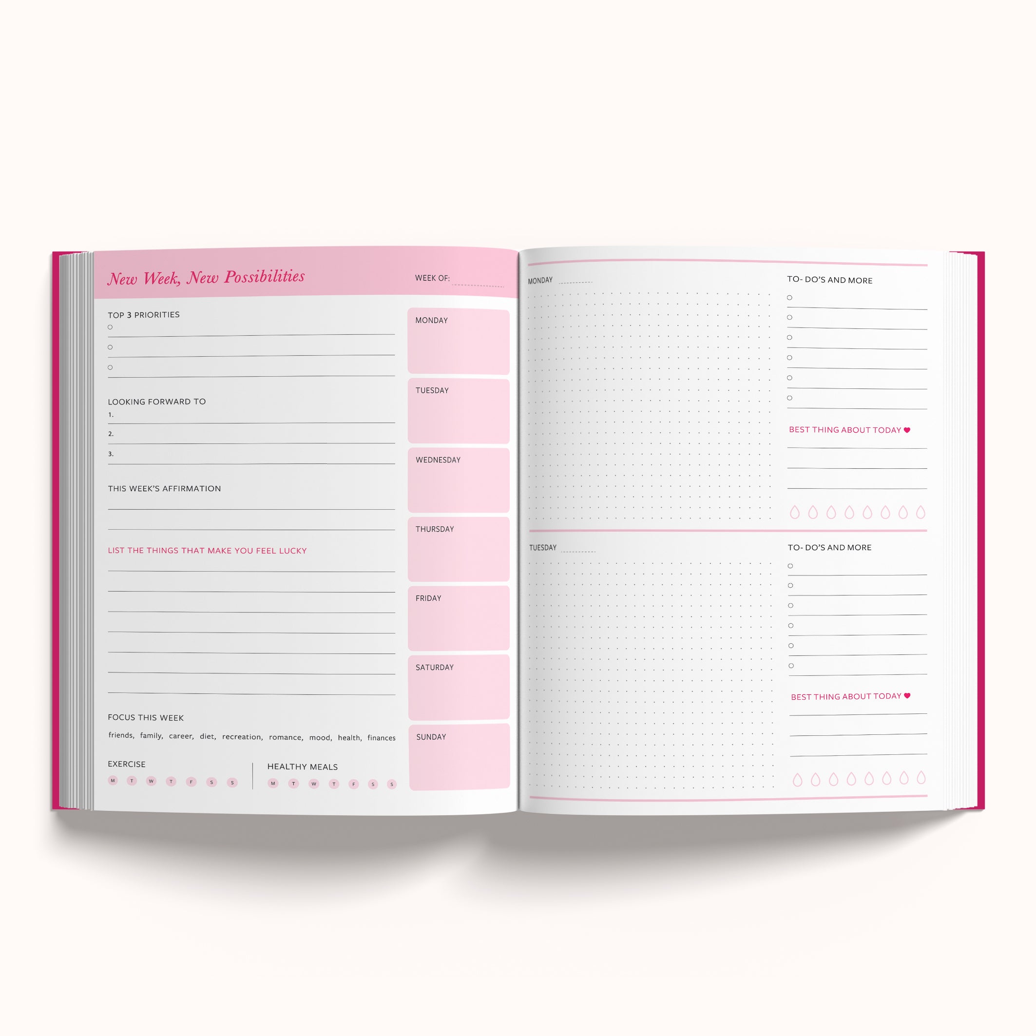 Life of your Dreams   -   Annual Undated Planner