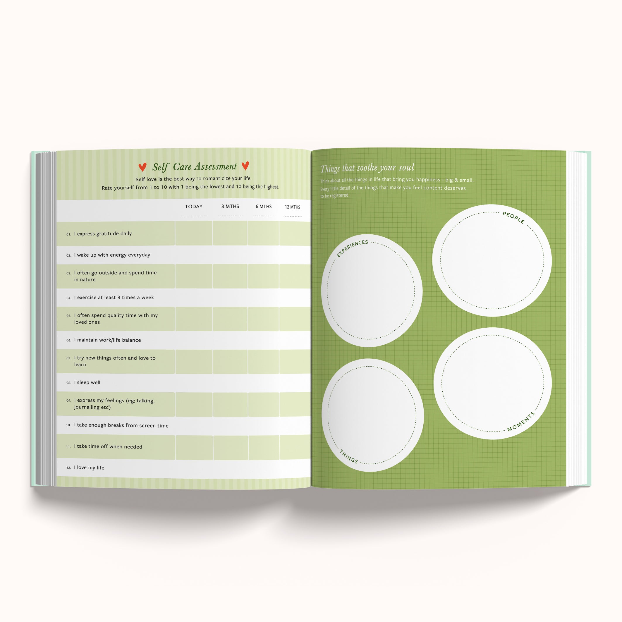 The Magic is in You       -       Annual Undated Planner