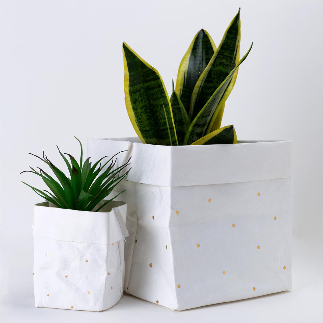 Paper Planter - Dots (White) - 7mm - Fine Paper Stationery