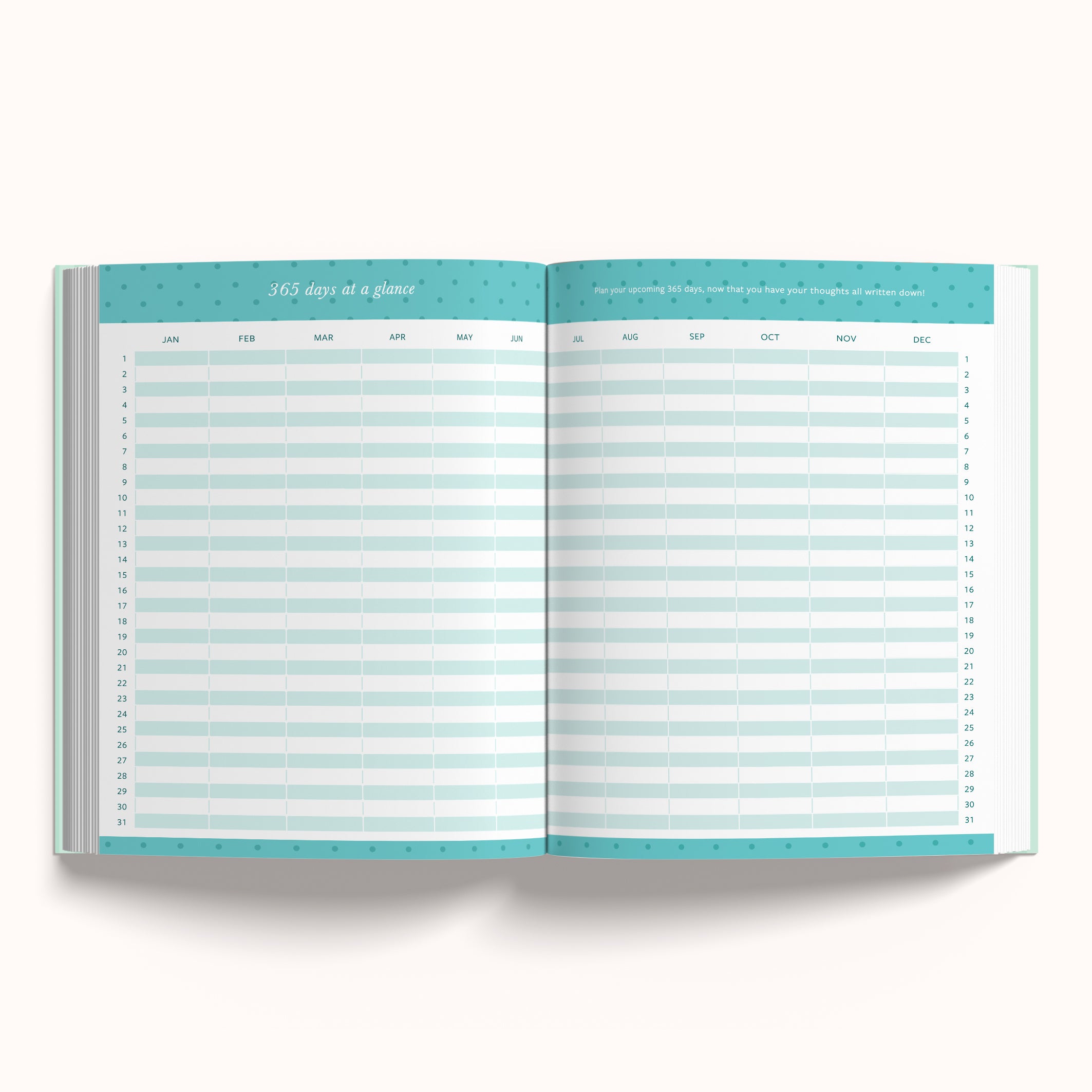 The Magic is in You       -       Annual Undated Planner