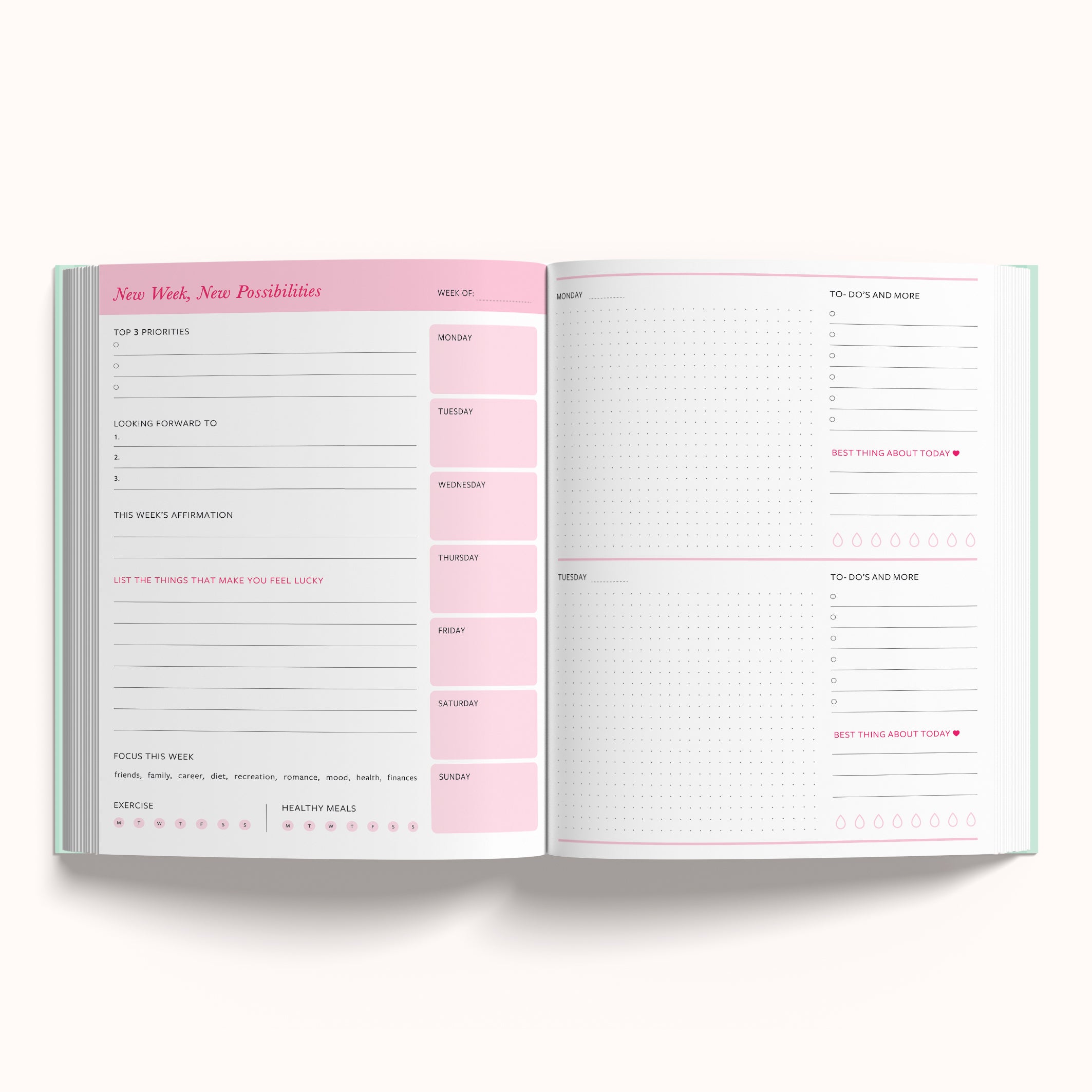 The Magic is in You       -       Annual Undated Planner