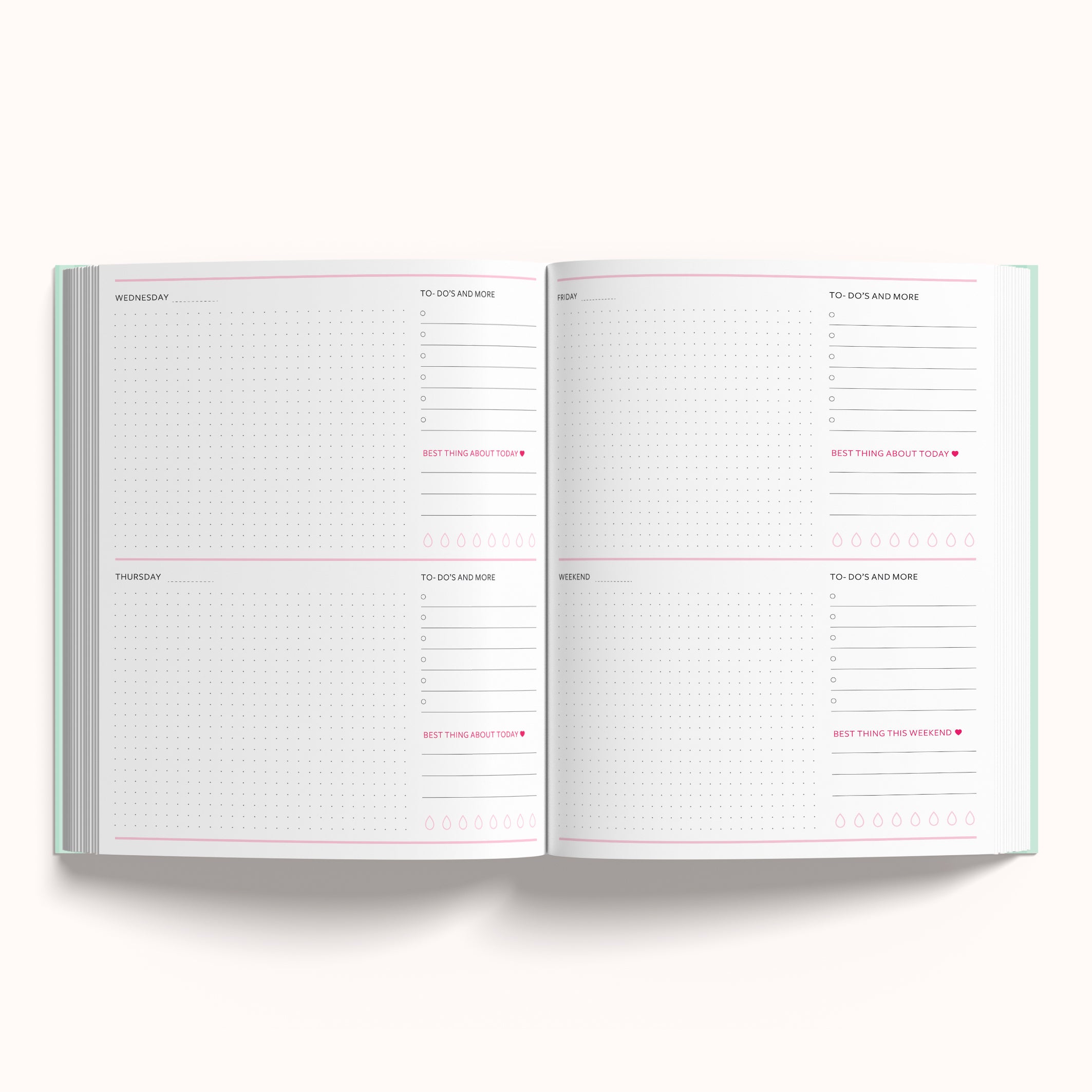 The Magic is in You       -       Annual Undated Planner